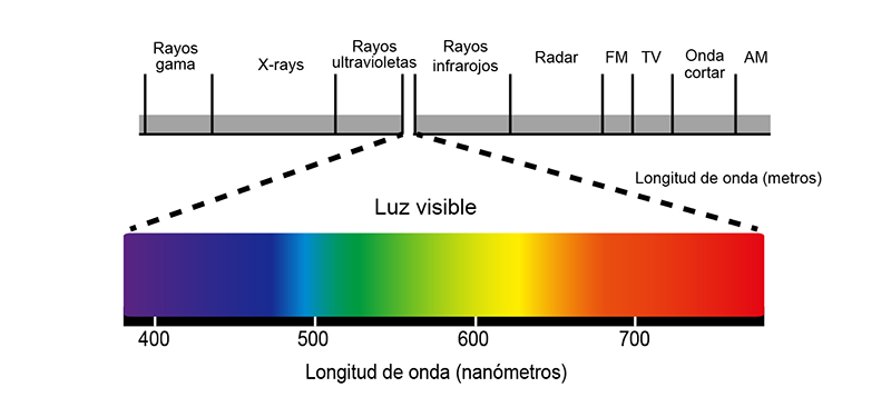 Espectro de luz y percepción de colores